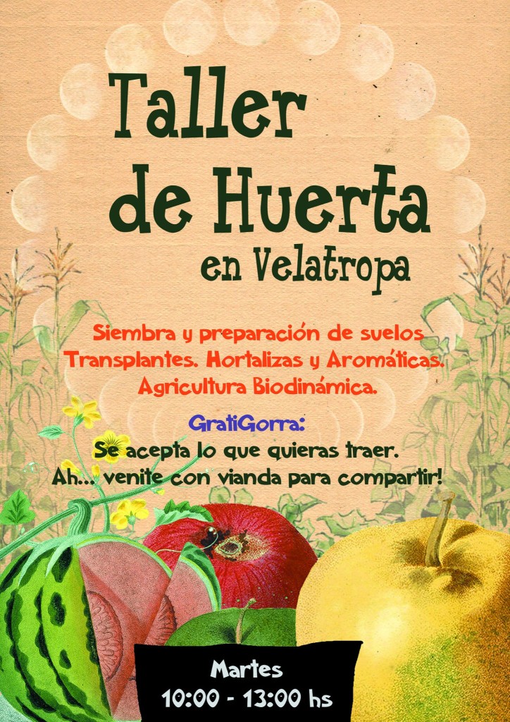 Taller-Huerta