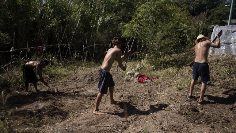 Los miembros de Velatropa trabajando en la huerta.